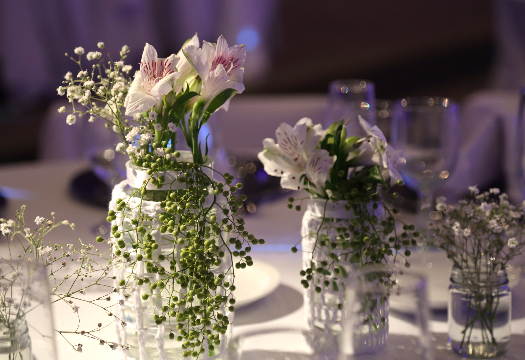 Bertolini Eventos