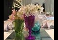 Bertolini Eventos