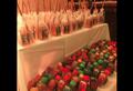Bertolini Eventos