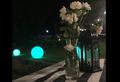 Bertolini Eventos