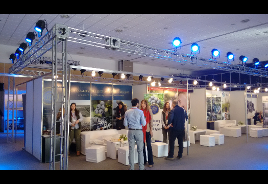 Bertolini Eventos