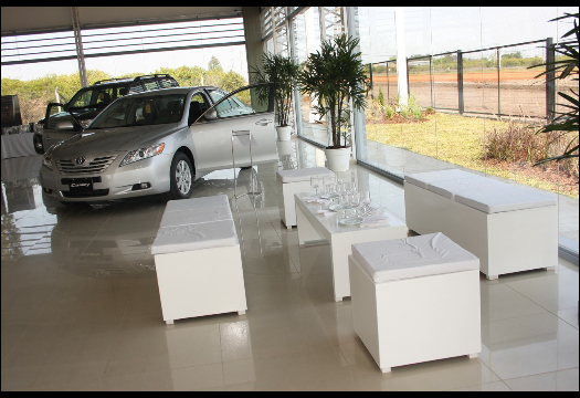 Bertolini Eventos