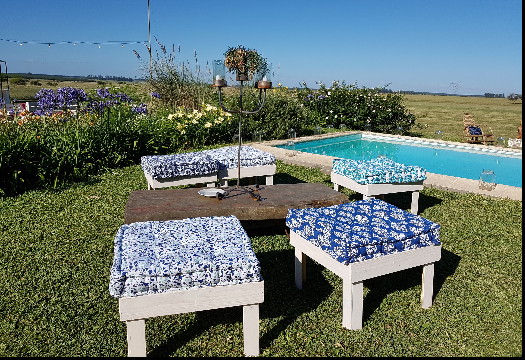 Bertolini Eventos