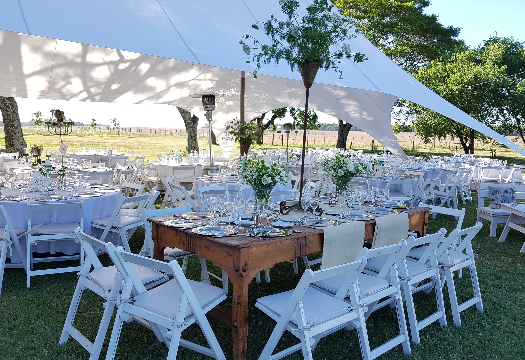 Bertolini Eventos