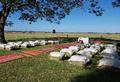 Bertolini Eventos