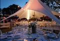 Bertolini Eventos