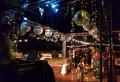 Bertolini Eventos