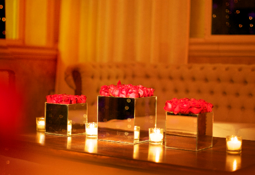 Bertolini Eventos