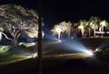 Bertolini Eventos