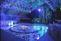 Bertolini Eventos