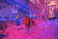 Bertolini Eventos