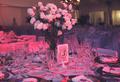 Bertolini Eventos