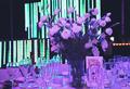 Bertolini Eventos