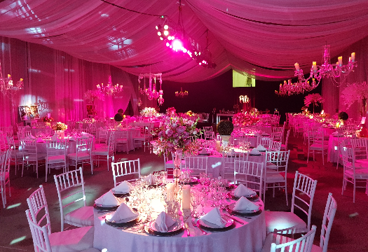 Bertolini Eventos