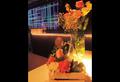 Bertolini Eventos