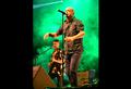 Bertolini Eventos