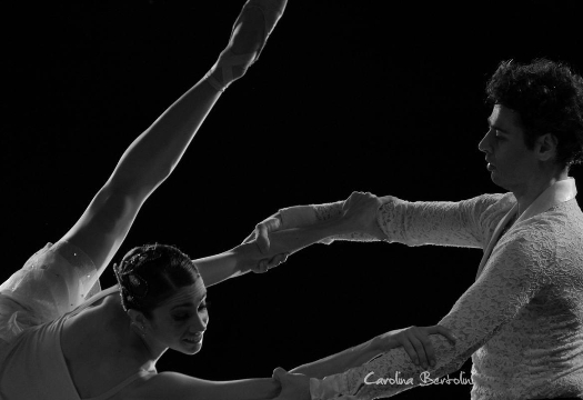 Bertolini Eventos