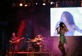 Bertolini Eventos