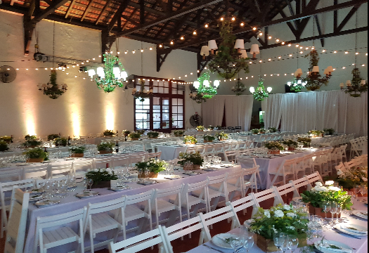 Bertolini Eventos