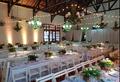 Bertolini Eventos