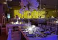Bertolini Eventos