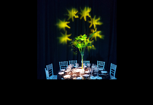 Bertolini Eventos