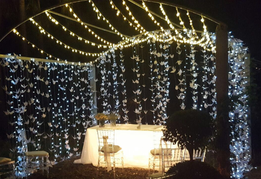 Bertolini Eventos